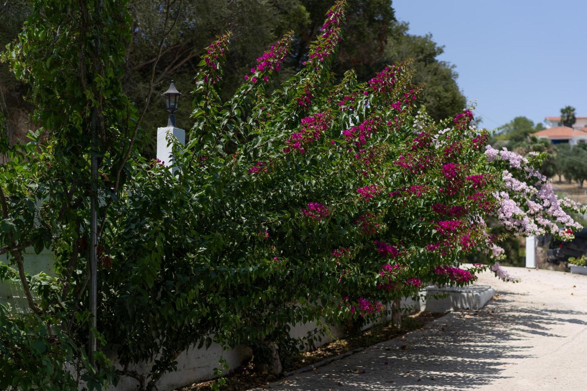 Blue Houses Maisonettes Kamaria  Exterior photo
